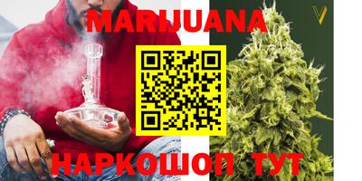 прущие грибы Гусиноозёрск