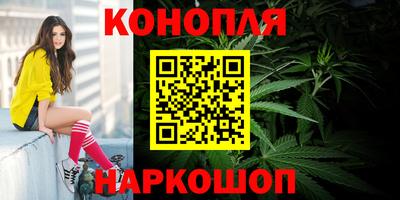 прущие грибы Гусиноозёрск