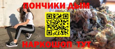 прущие грибы Гусиноозёрск