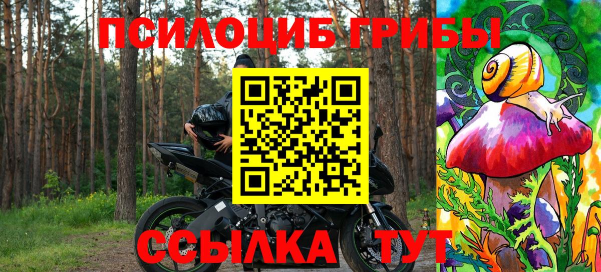Псилоцибиновые грибы Magic Shrooms  купить наркотик  Лесосибирск  Вход с VPN 